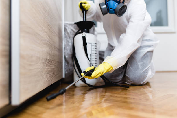 Trusted Walnut Cove, NC Pest Control Experts