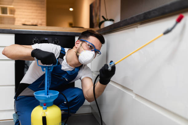  Walnut Cove, NC Pest Control Pros