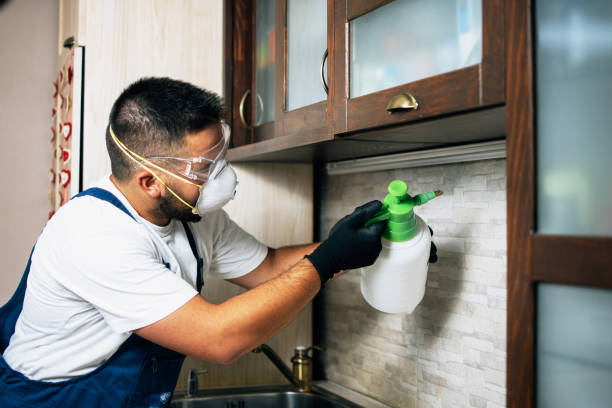 Best Cockroach Control Services  in Walnut Cove, NC
