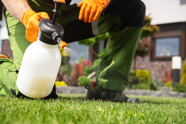 Best Local Pest Control Services  in Walnut Cove, NC