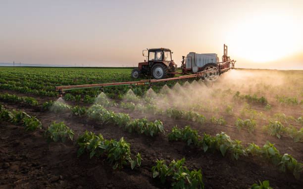 Pest Control Cost in Walnut Cove, NC