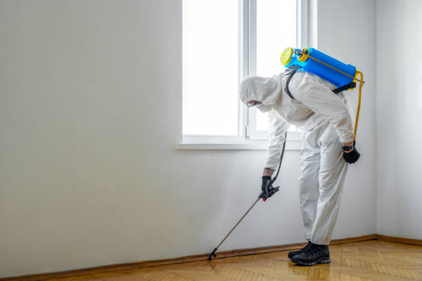 Best Pest Prevention Services  in Walnut Cove, NC