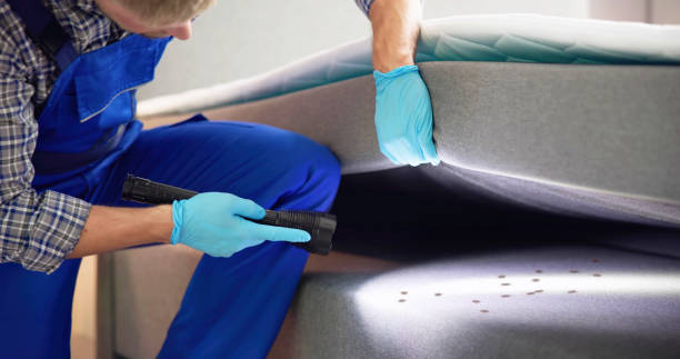 Best Pest Inspection Near Me  in Walnut Cove, NC