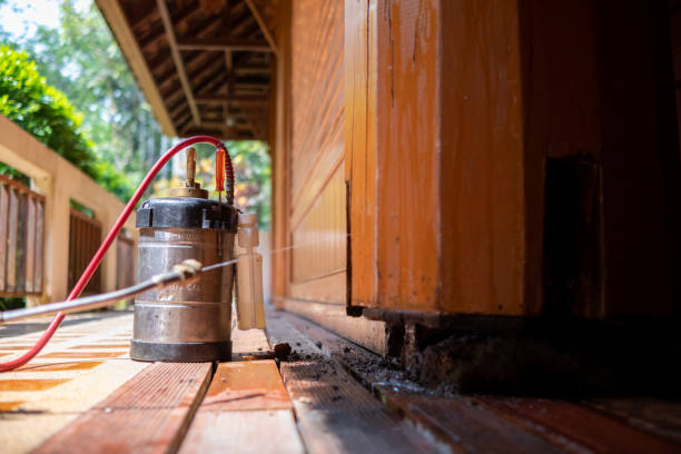Best Best Pest Control Companies  in Walnut Cove, NC
