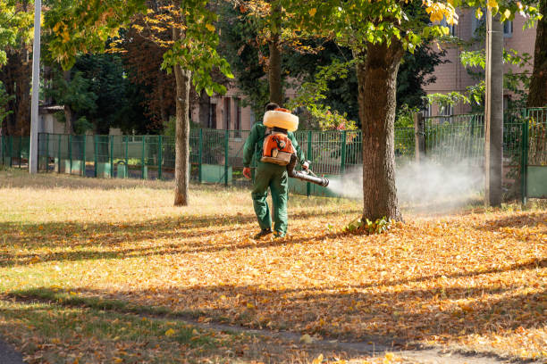 Best Affordable Pest Control Services  in Walnut Cove, NC