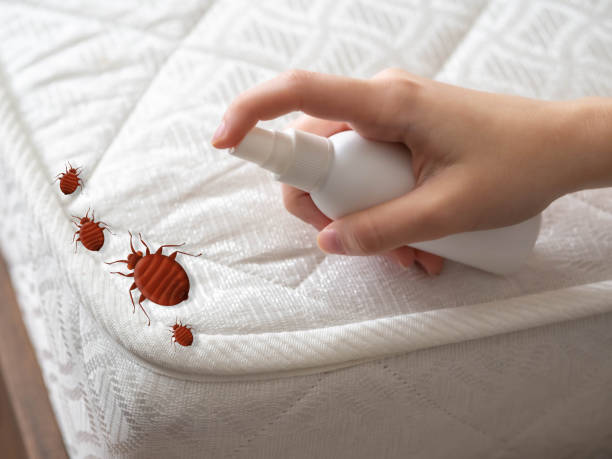 Best Exterminator Services  in Walnut Cove, NC