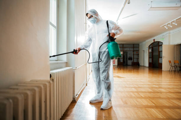 Best Cockroach Control Services  in Walnut Cove, NC