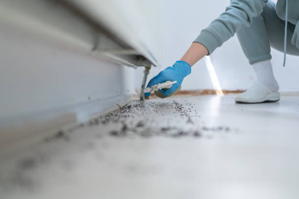 Best Best Pest Control Companies  in Walnut Cove, NC